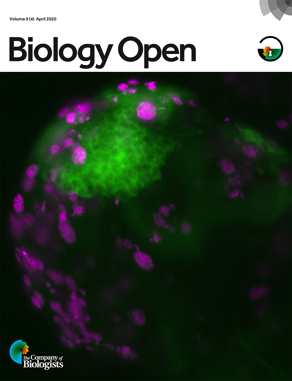 Biology Open Cover