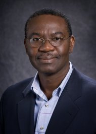 Omowumi O. Iledare