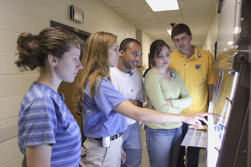 Pre Health Pathways Lsu Majors