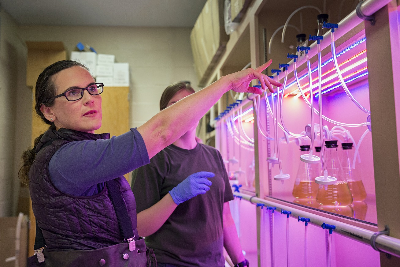 Kelly in lab