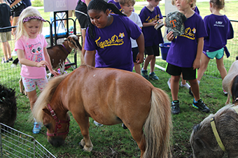 child with an animal