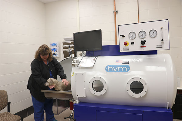 hyperbaric chamber