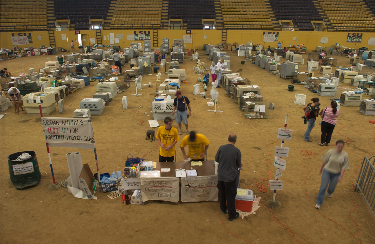 arena floor at the Parker Coliseum