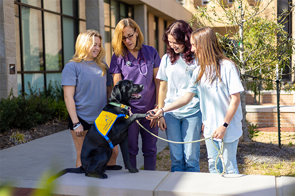 Dr. Welborn with students and Tonic, a dog being trained